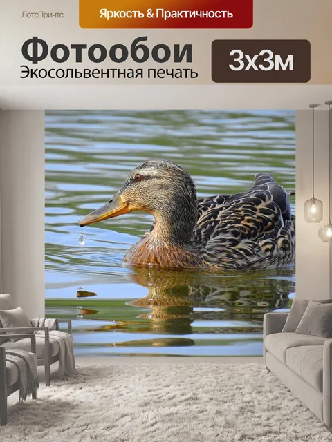 Фотообои Птицы