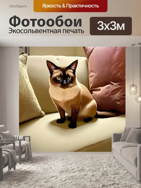 Фотообои сиамский кот, сидящий на своей любимой диване, окружённый уютными подушками