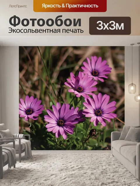 Фотообои Фиолетовый