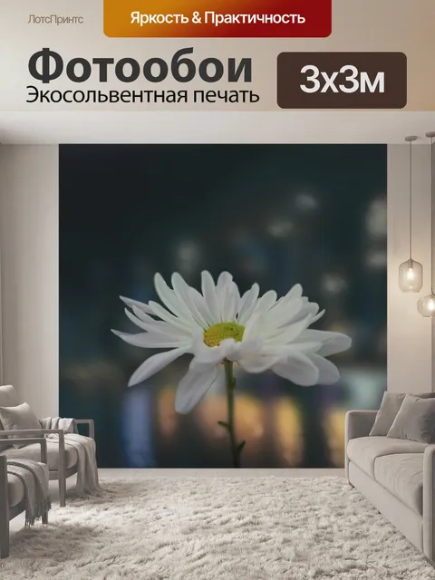 Фотообои Ночь