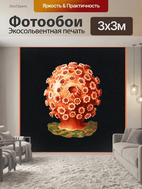 Фотообои Коралловое Средиземноморье Винтажное Иск