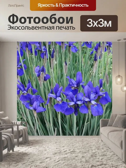 Фотообои Ирис