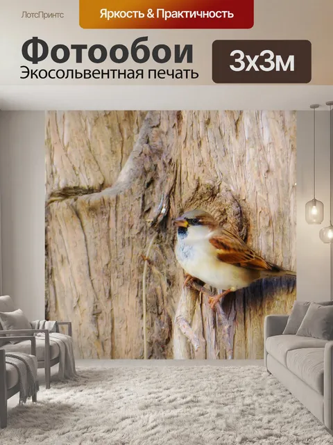 Фотообои Коричневый