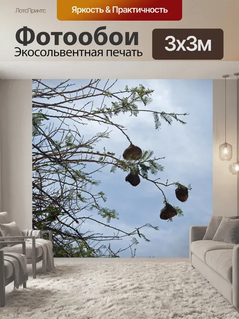Фотообои Ткацкие гнёзда