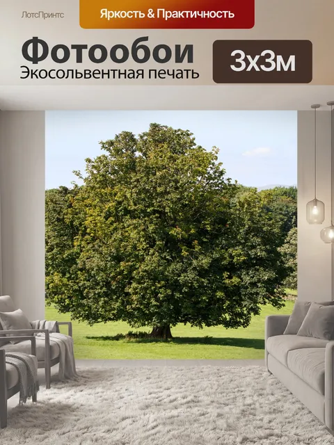 Фотообои Дерево Пейзаж Лето