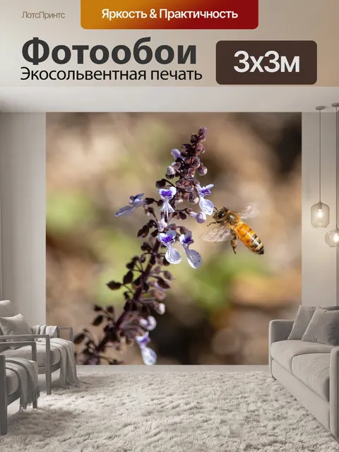 Фотообои Пчела