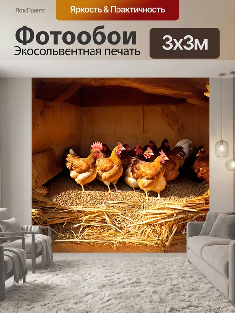 Фотообои куры, собравшиеся в уютном курятнике, отдыхают на мягкой соломе, освещенные золотистыми лучами утреннего…