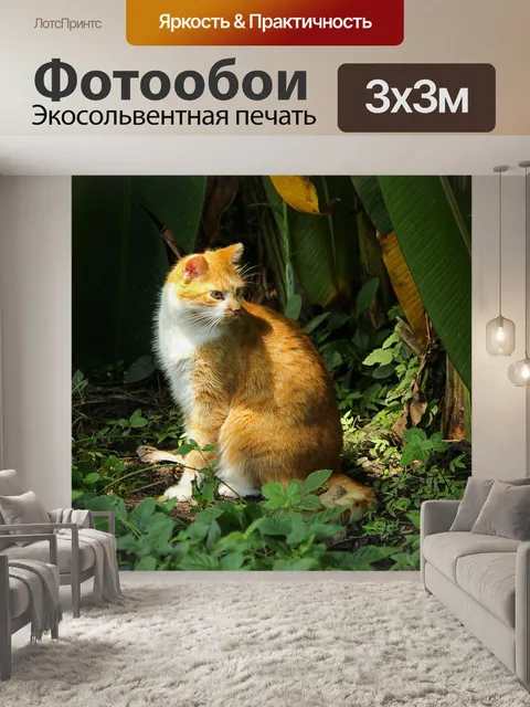 Фотообои Кошка