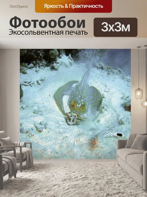 Фотообои Египет