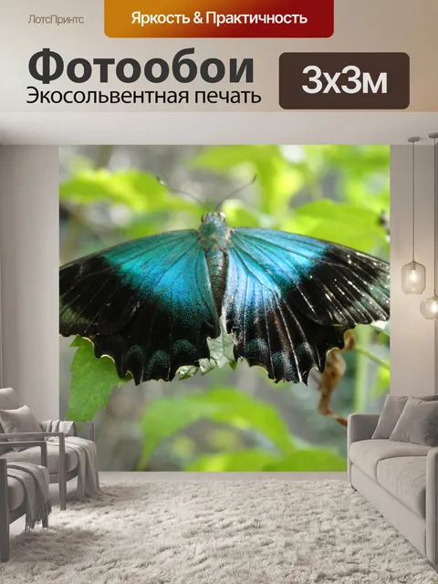 Фотообои Бабочка