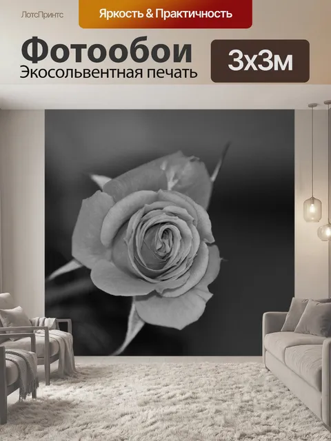 Фотообои Черно-белый цветок