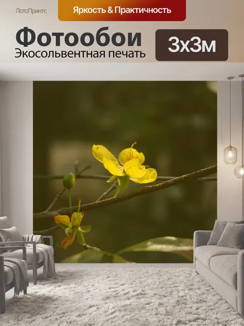 Фотообои Весна