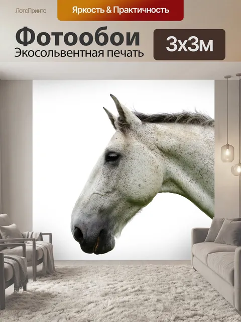 Фотообои животное