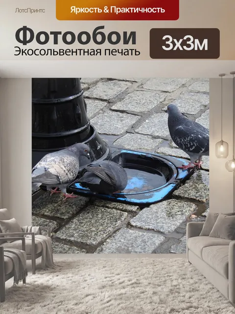 Фотообои Птицы