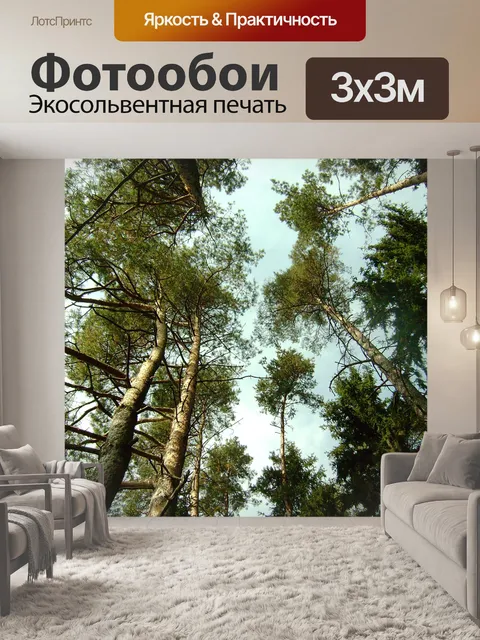 Фотообои Верхушки деревьев и небо