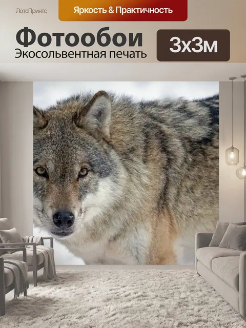 Фотообои Волк