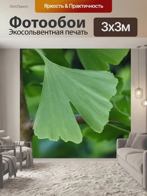 Фотообои Гинкго