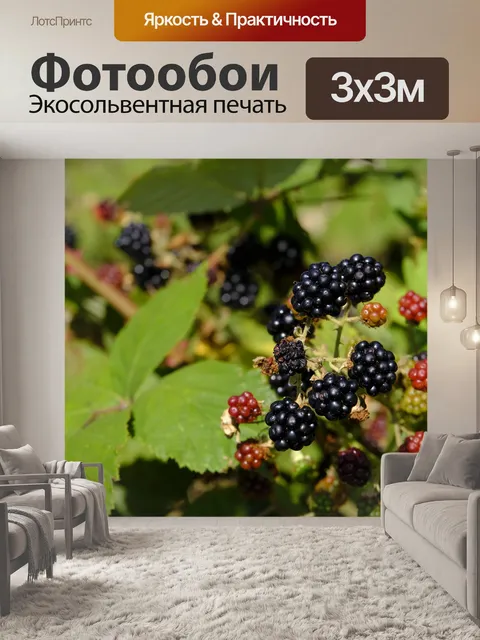Фотообои Ежевика