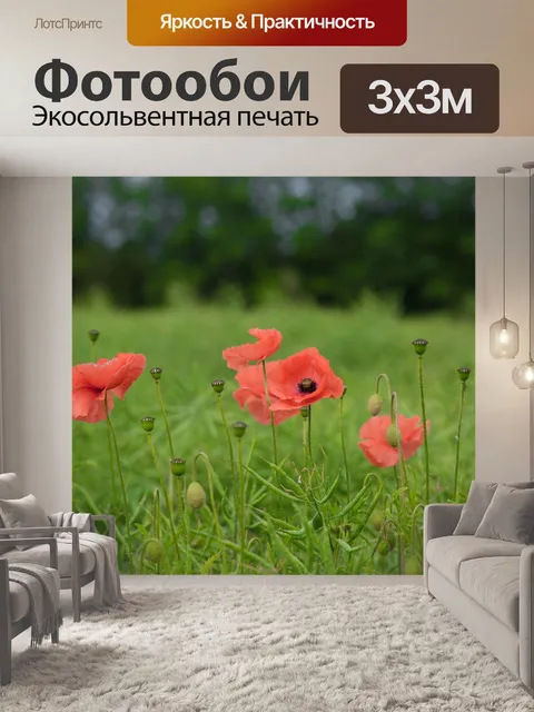 Фотообои Красный мак