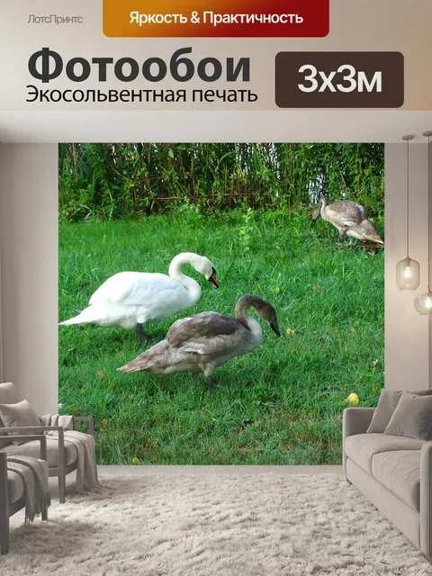 Фотообои Лебедь мама