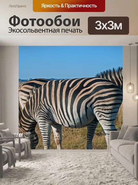 Фотообои Две зебры, стоящие вместе