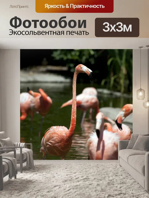 Фотообои Фламинго