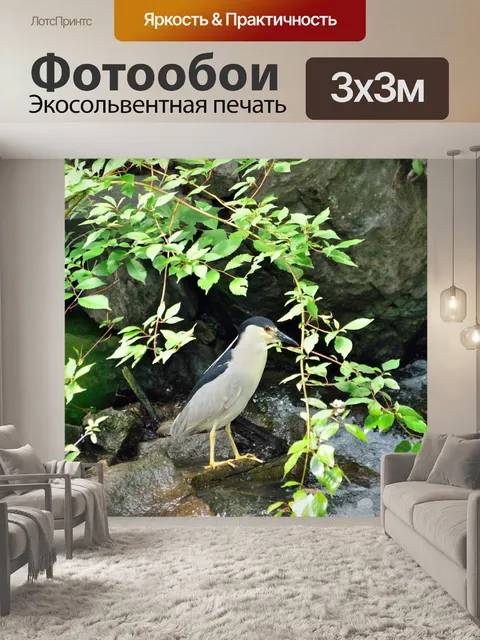 Фотообои Черная цапля