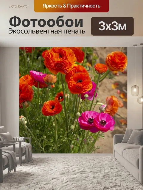 Фотообои Лютик Цветок