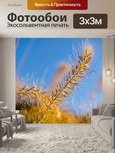 Фотообои Трава