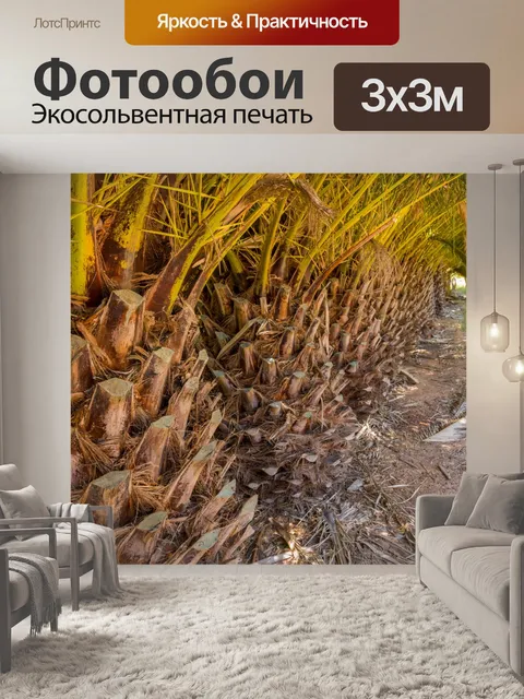 Фотообои Под пальмами