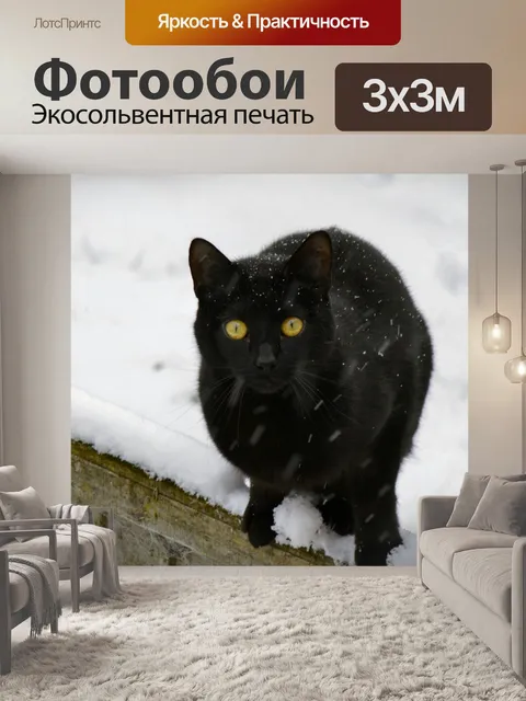 Фотообои Кошка