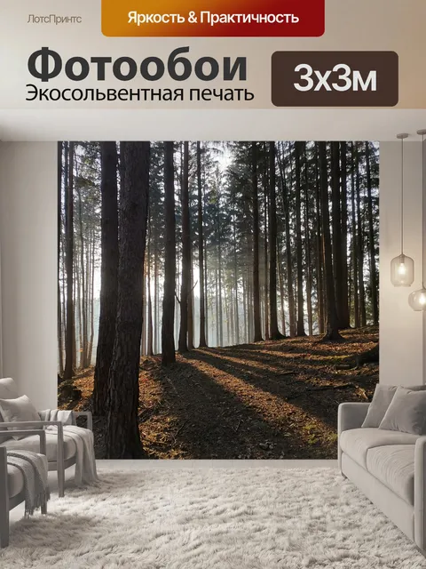 Фотообои Лес