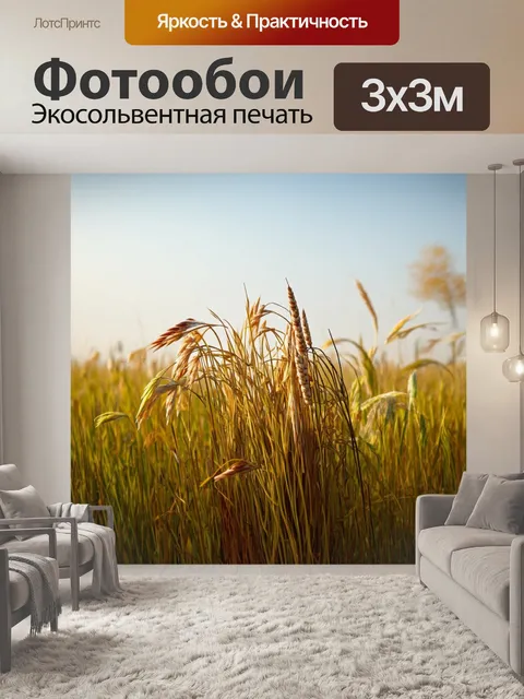 Фотообои поле, в котором растут ведрышки с тростником и прочими луговыми растениями