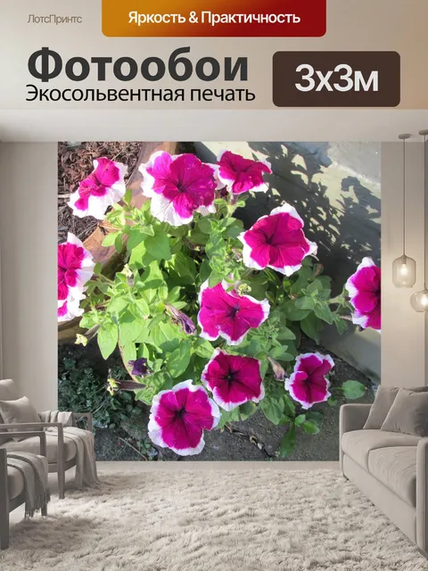 Фотообои Красивые цветы