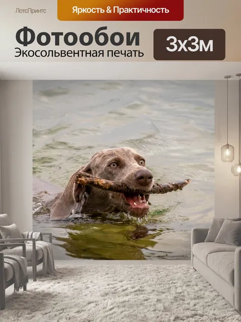 Фотообои Собака