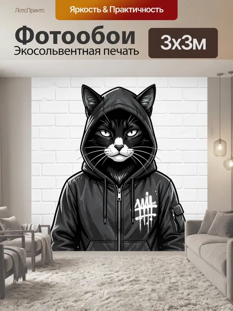 Фотообои Черный кот в худи