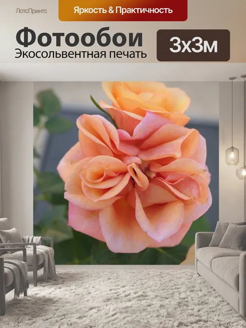Фотообои Розы