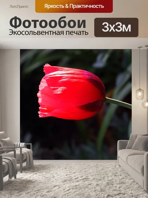 Фотообои вид сбоку солнечного света на красном ма