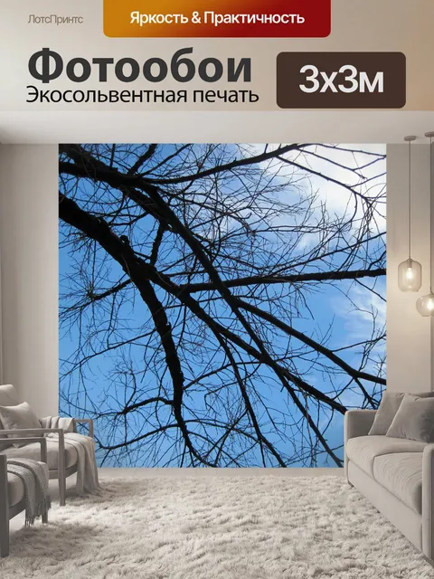 Фотообои голые ветви на фоне голубого неба