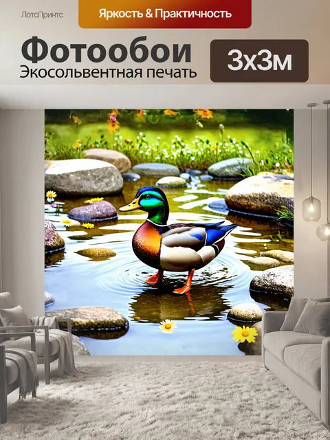 Фотообои утка, ярко окрашенная в оранжевые и зеленые тона, переворачивает камни в мелкой воде, искажающей свет