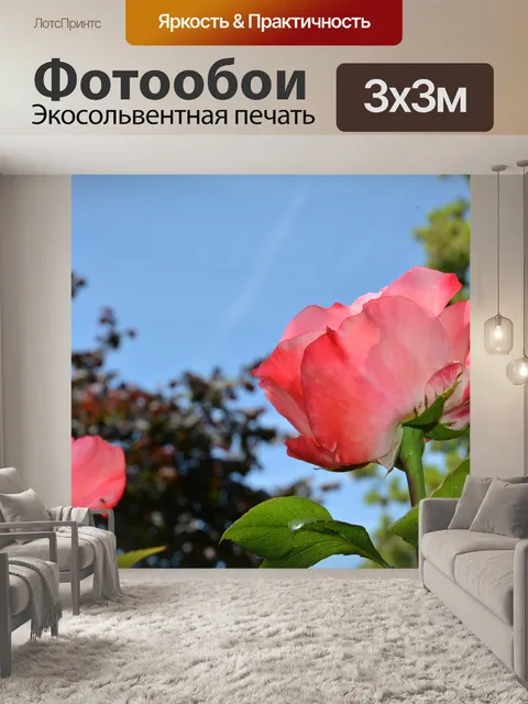 Фотообои Роуз