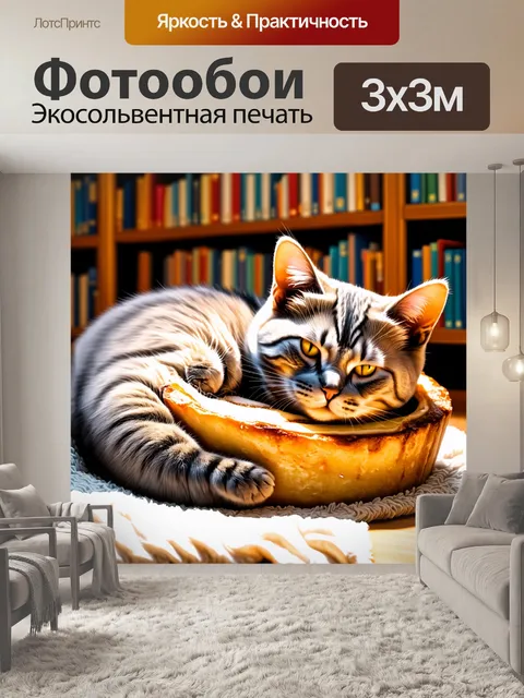 Фотообои британская короткошерстная кошка, изогнувшись в форме «калача», спит на пледе, окружённая книжными полками