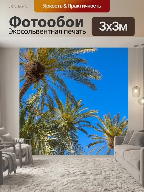 Фотообои Пальмы и голубое небо