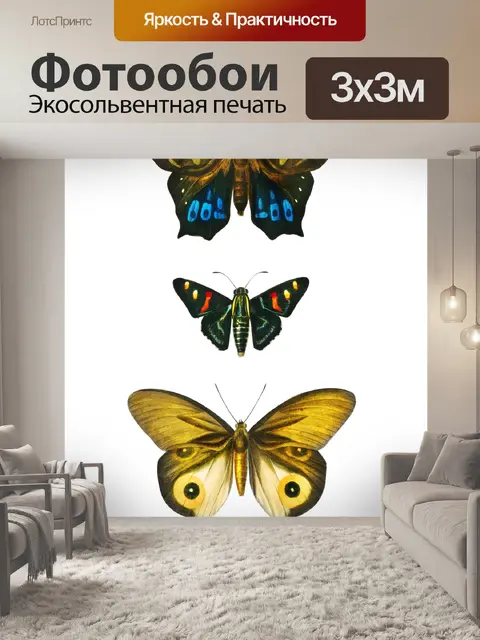 Фотообои Бабочки мотылек винтажное искусство