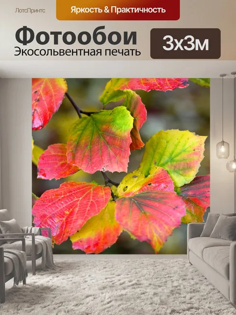 Фотообои Листья осенью фон