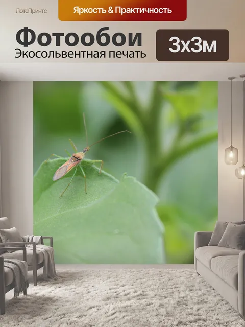 Фотообои Общий техасский ошибка Zelus Renardii