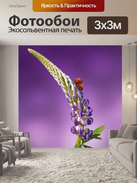 Фотообои Божьи коровки