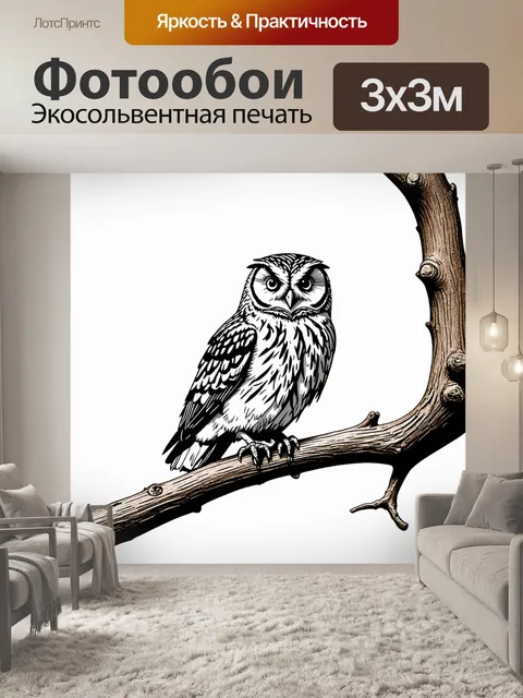 Фотообои животные в стиле однострочный рисунок, тихая сова на ветке дерева