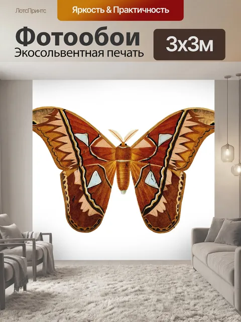 Фотообои Винтажное искусство Атласа Мотылька