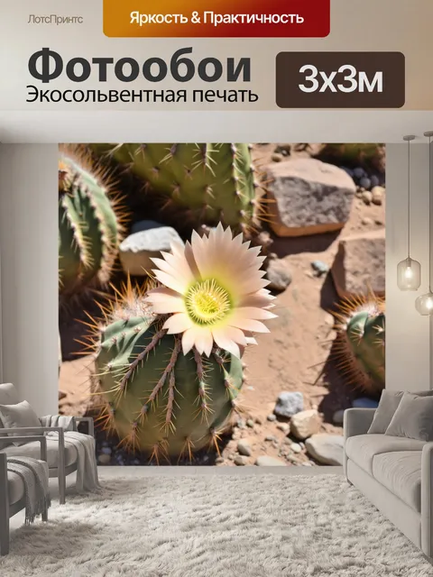 Фотообои бежевый цветок кактуса, распускающийся в пустыне среди колючих растений и камней